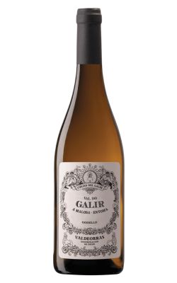 C.V.N.E Val do Galir Godello 2024