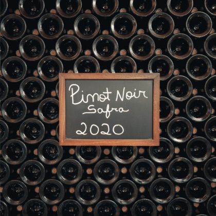 Pinot Noir