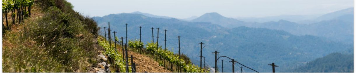 Kyperounda Winery