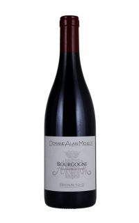 Domaine Alain Michelot Bourgogne Pinot Noir 2017 