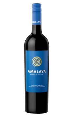 Amalaya Calchaquí Valley Malbec 2021