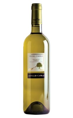 Arnaldo Caprai Anima Umbra Grechetto 2024