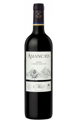 Barons de Rothschild Lafite/Catena- Bodegas CARO Amancaya 2019