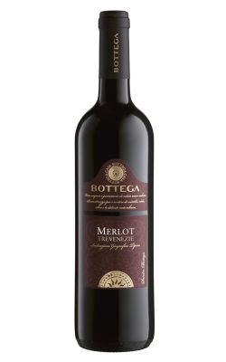 Bottega Merlot Trevenezie NV