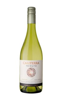 Caliterra Tributo Single Vineyard Chardonnay 2020