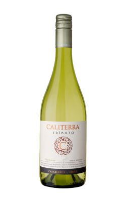 Caliterra Tributo Single Vineyard Chardonnay 2021