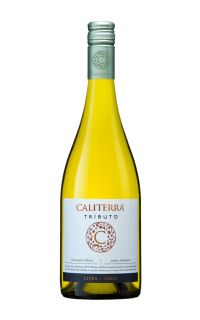 Caliterra Tributo Single Vineyard Sauvignon Blanc 2021