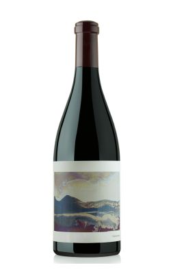 Chanin Wine Co. Bien Nacido Vineyard Pinot Noir 2012