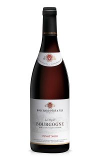 Domaine Bouchard Père & Fils Bourgogne Pinot Noir La Vignée 2019