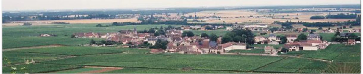 Domaine Confuron-Cotetidot