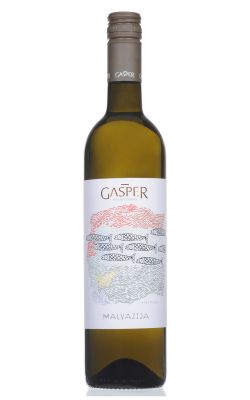 Gašper Malvazija 2024