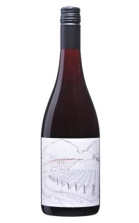 Greystone Vineyard Ferment Pinot Noir 2019