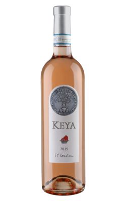 decathlon giacca a vento