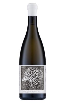 Kleine Zalze Project Z Heritage White Blend 2024
