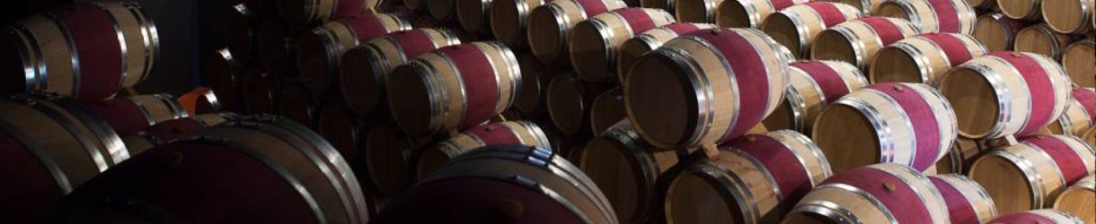 Marqués de Cáceres