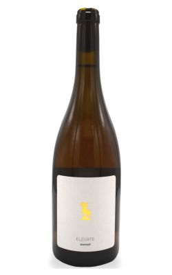 Mersel Elevate Daw Al Amar 2022