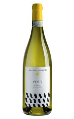 Morgassi Volo Gavi del Comune di Gavi DOCG 2020