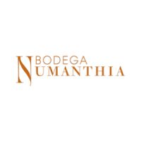 Bodega Numanthia