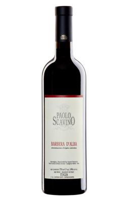 Paolo Scavino Barbera d'Alba 2021