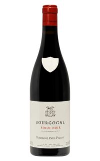 Domaine Paul Pillot Bourgogne Rouge 2018