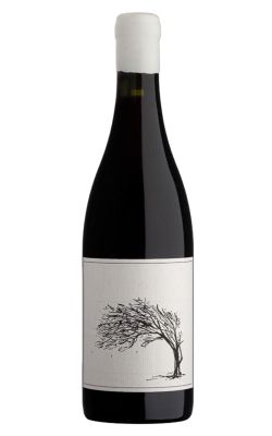Savage Girl Next Door Syrah 2025