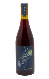 Stedt Wines Impulse Gamay Noir 2016