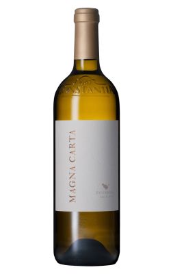 Steenberg Magna Carta 2023
