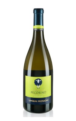 Umani Ronchi Vellodoro Pecorino 2024