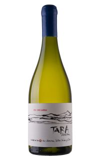 Ventisquero Tara White Wine 1 - Chardonnay 2018 