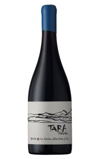 Ventisquero Tara Red Wine 1 - Pinot Noir 2018 