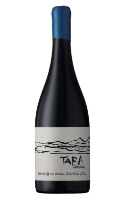 Ventisquero Tara Red Wine 1 - Pinot Noir 2021