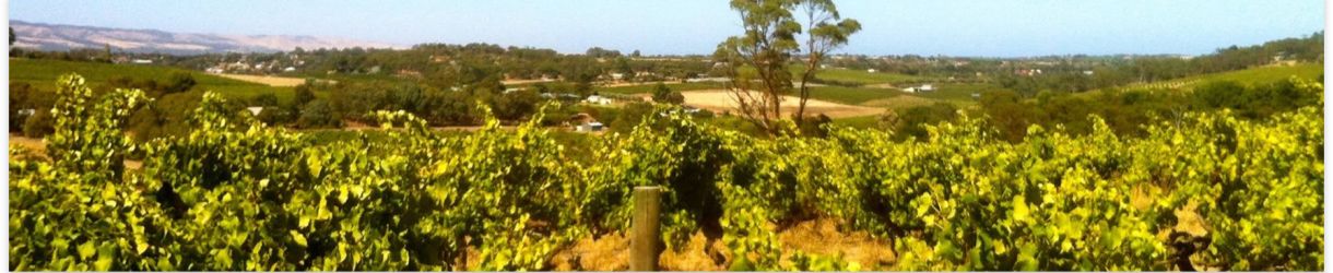 Wildman Wine